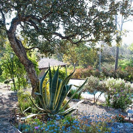 La Garriniere Bed & Breakfast Saint-Raphaël Екстериор снимка