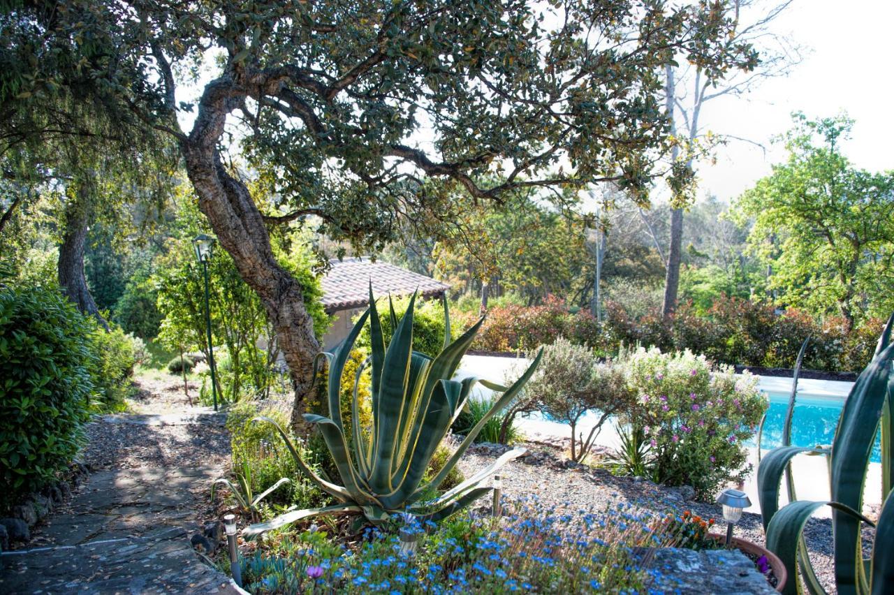 La Garriniere Bed & Breakfast Saint-Raphaël Екстериор снимка