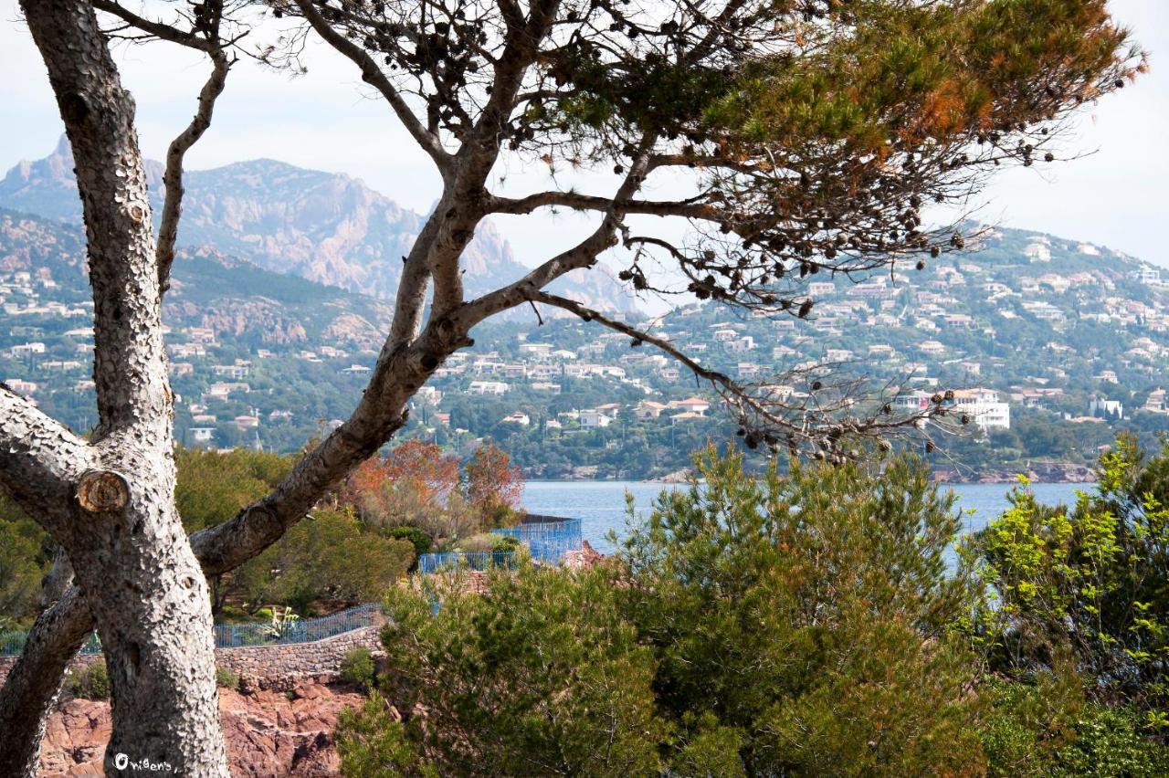 La Garriniere Bed & Breakfast Saint-Raphaël Екстериор снимка